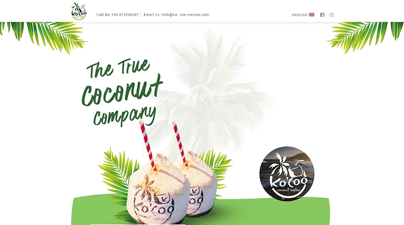 Landing Page Design for coconutbar