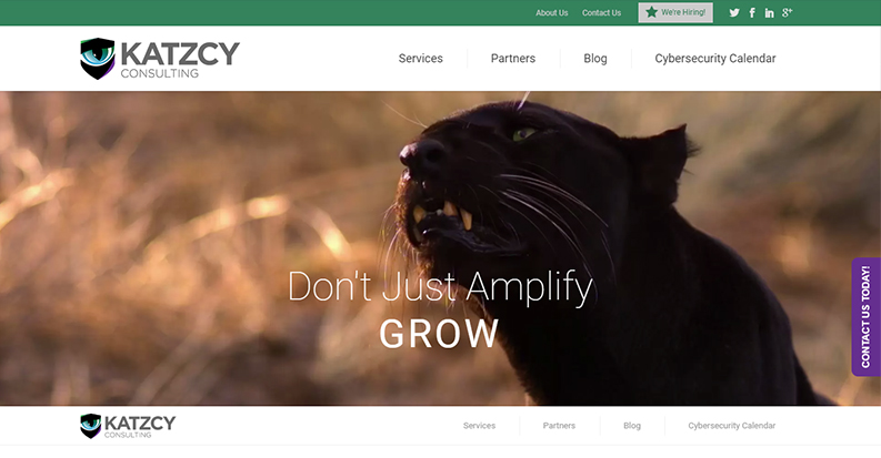 Website designs for marketing agency – Katzcy Consulting